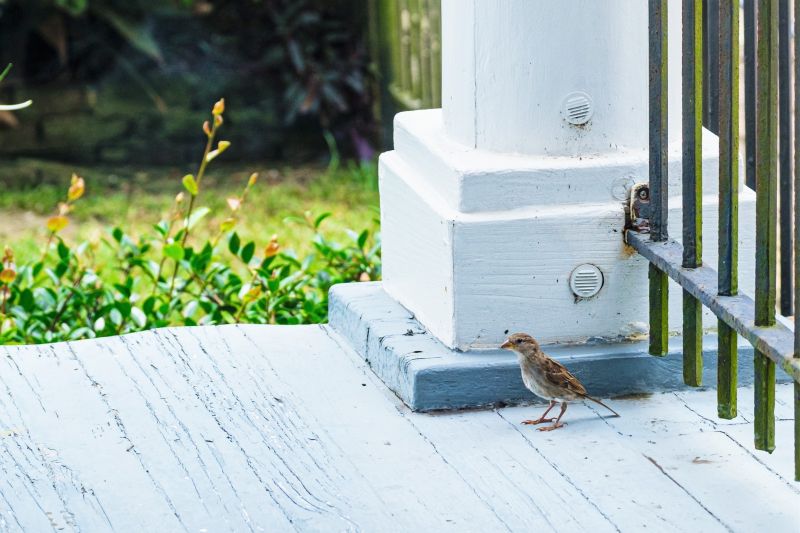 Rotten Column Replacement